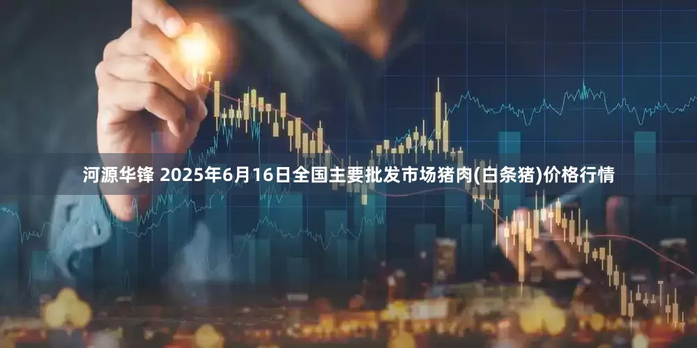 河源华锋 2025年6月16日全国主要批发市场猪肉(白条猪)价格行情