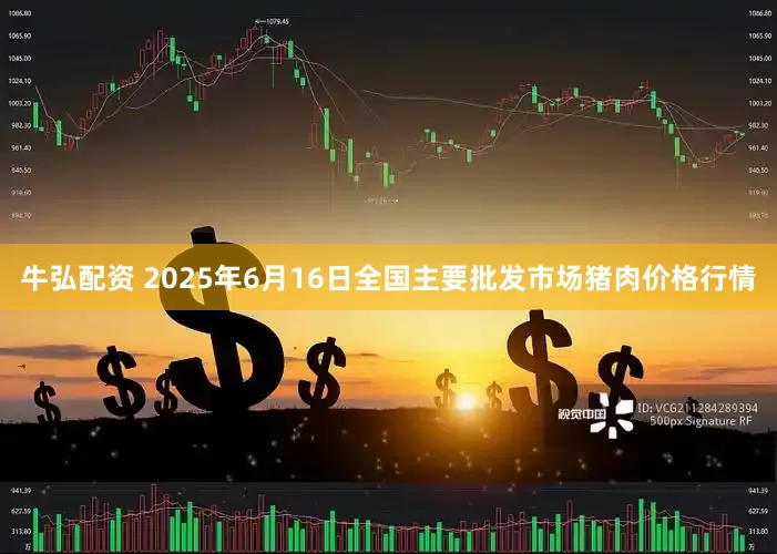 牛弘配资 2025年6月16日全国主要批发市场猪肉价格行情