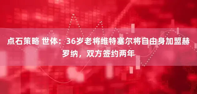 点石策略 世体：36岁老将维特塞尔将自由身加盟赫罗纳，双方签约两年